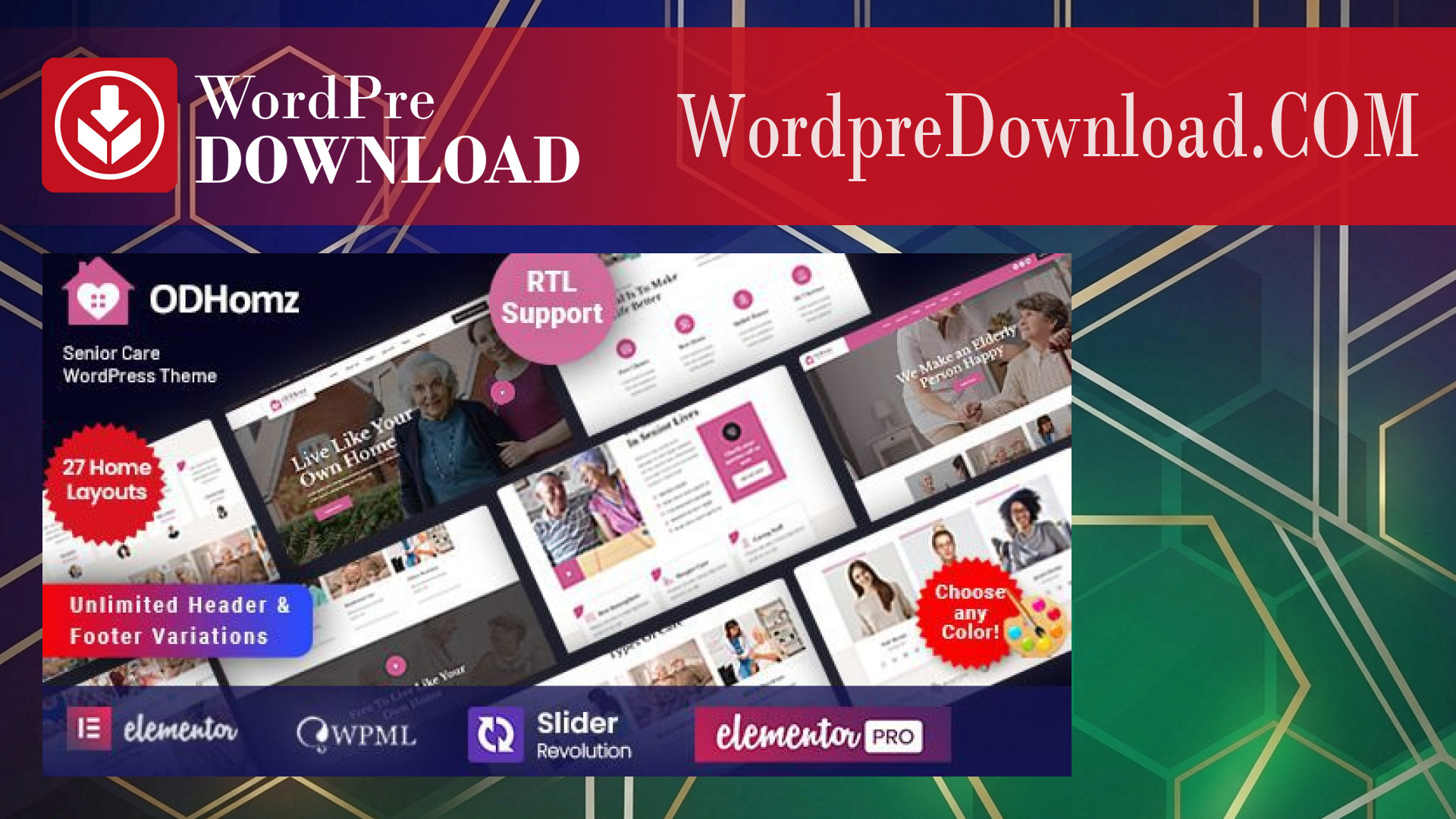 Odhomz - Senior Elderly Care WordPress Theme - WordpreDownload.COM