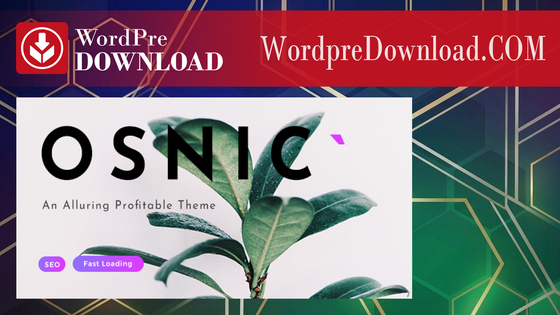 Osnic - Adsense WordPress Theme - WordpreDownload.COM