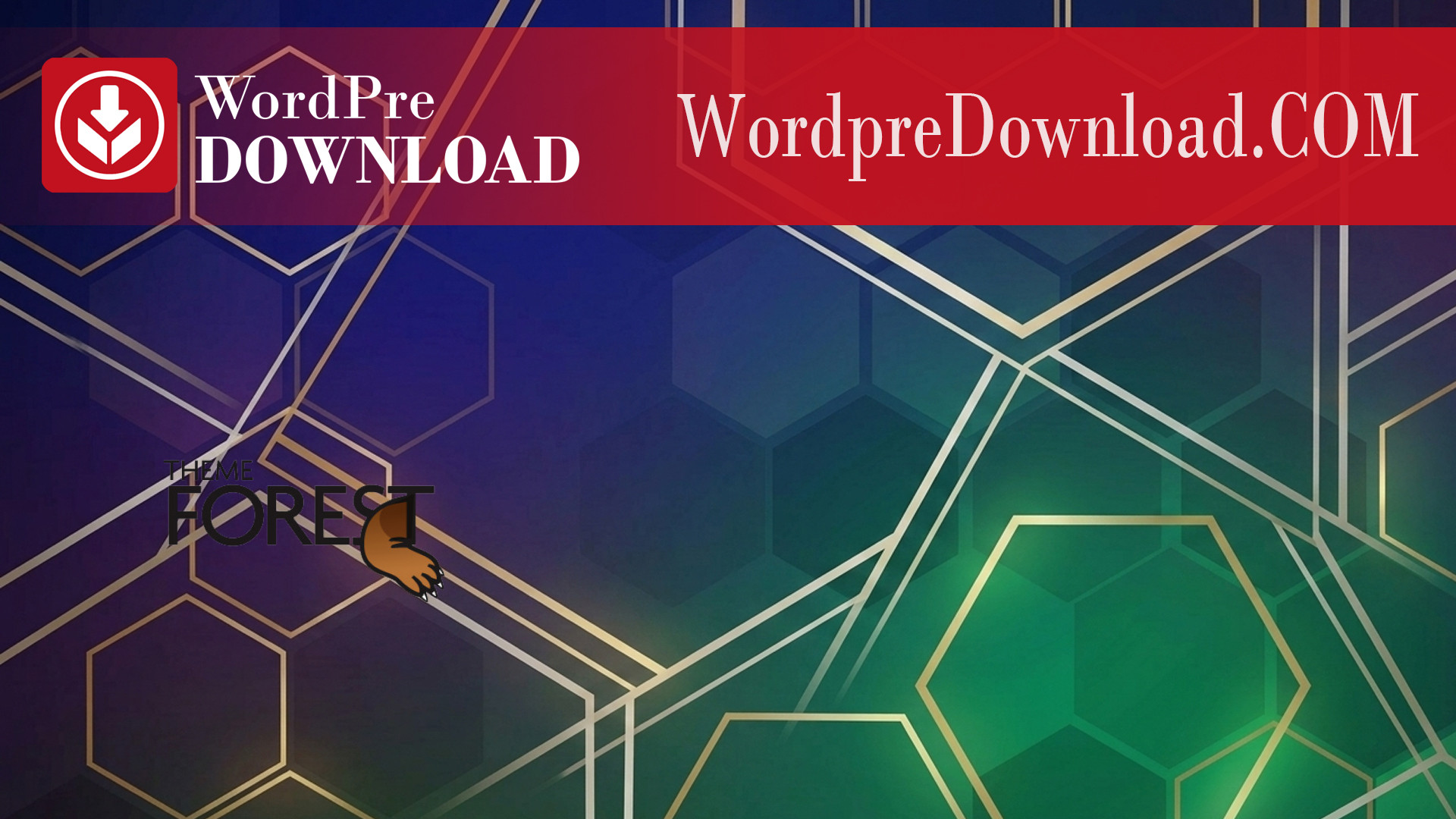 Builo - Construction WordPress Theme - WordpreDownload.COM
