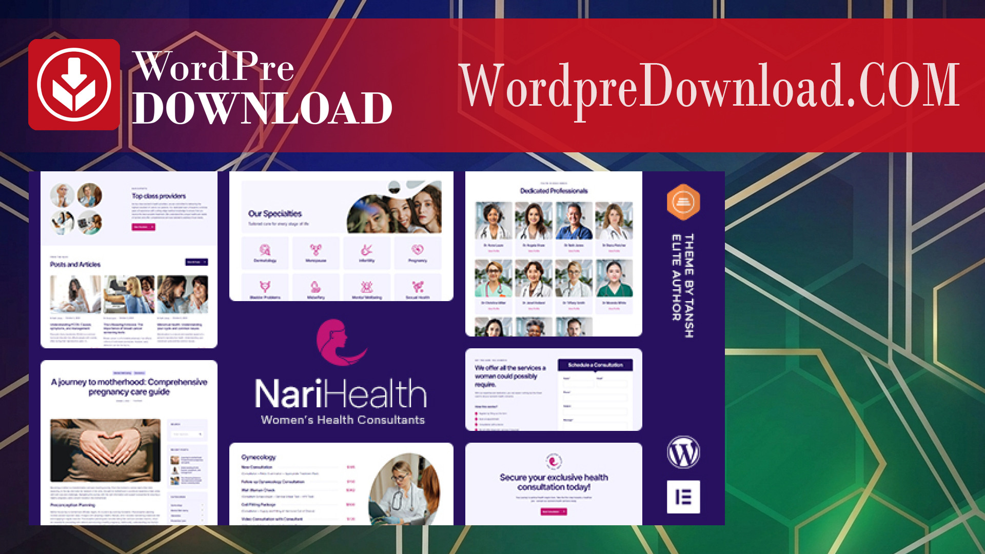 NariHealth - Women's Health Consultant WordPress Theme - WordpreDownload.COM