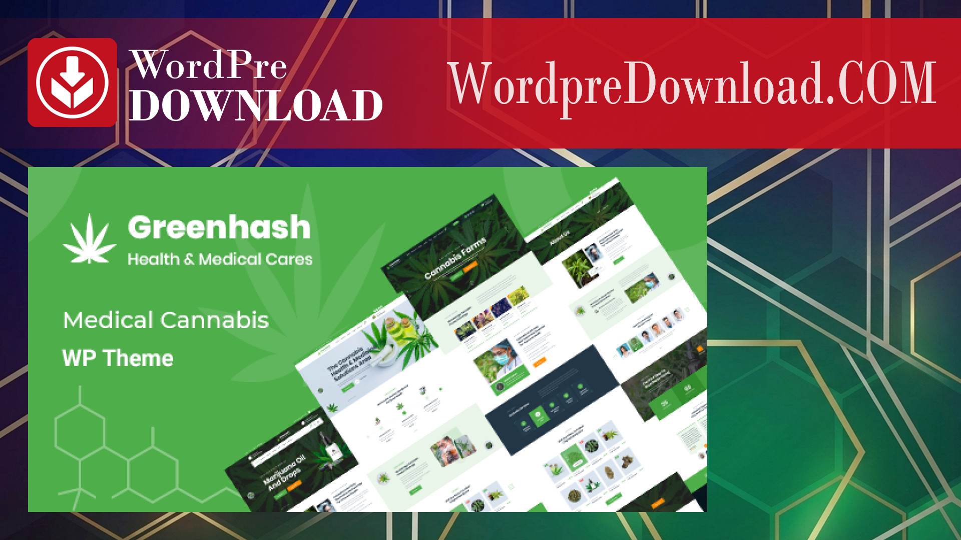 Greenhash – Medical WordPress Theme - WordpreDownload.COM