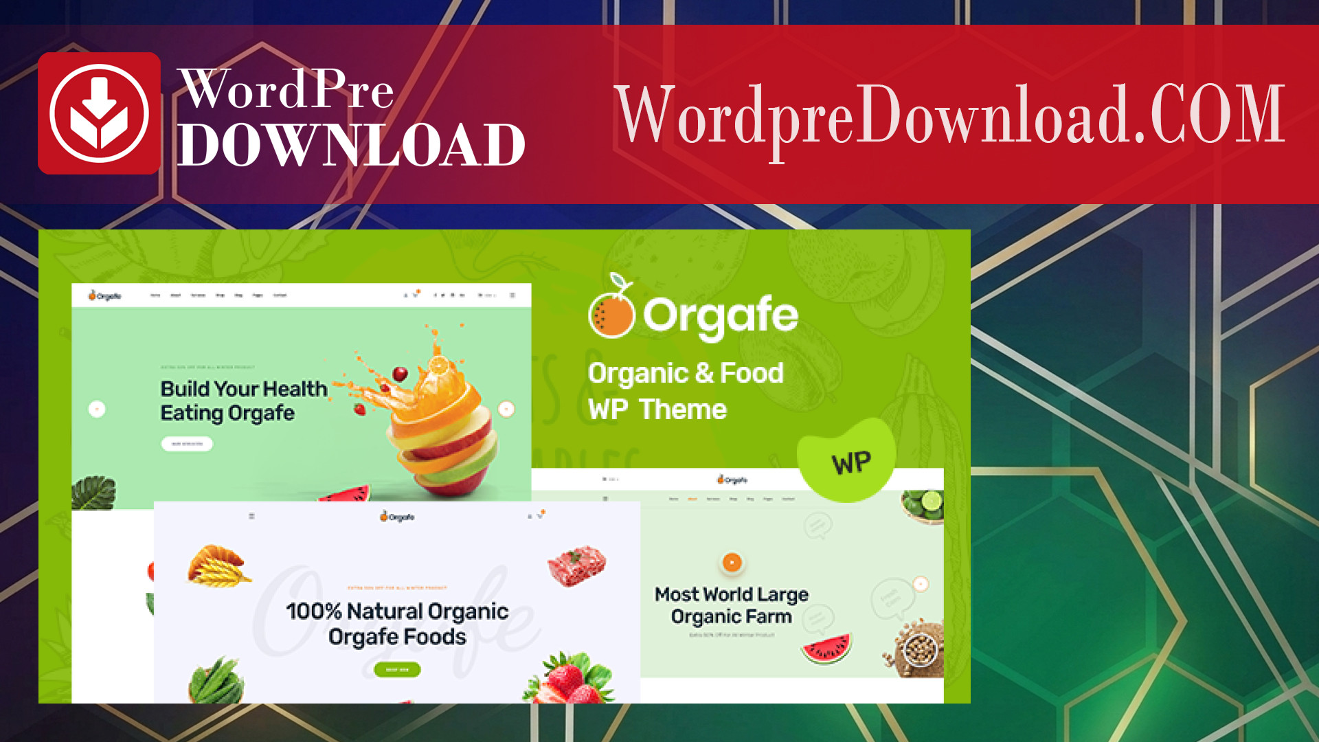 Orgafe - Organic Food WordPress Theme - WordpreDownload.COM