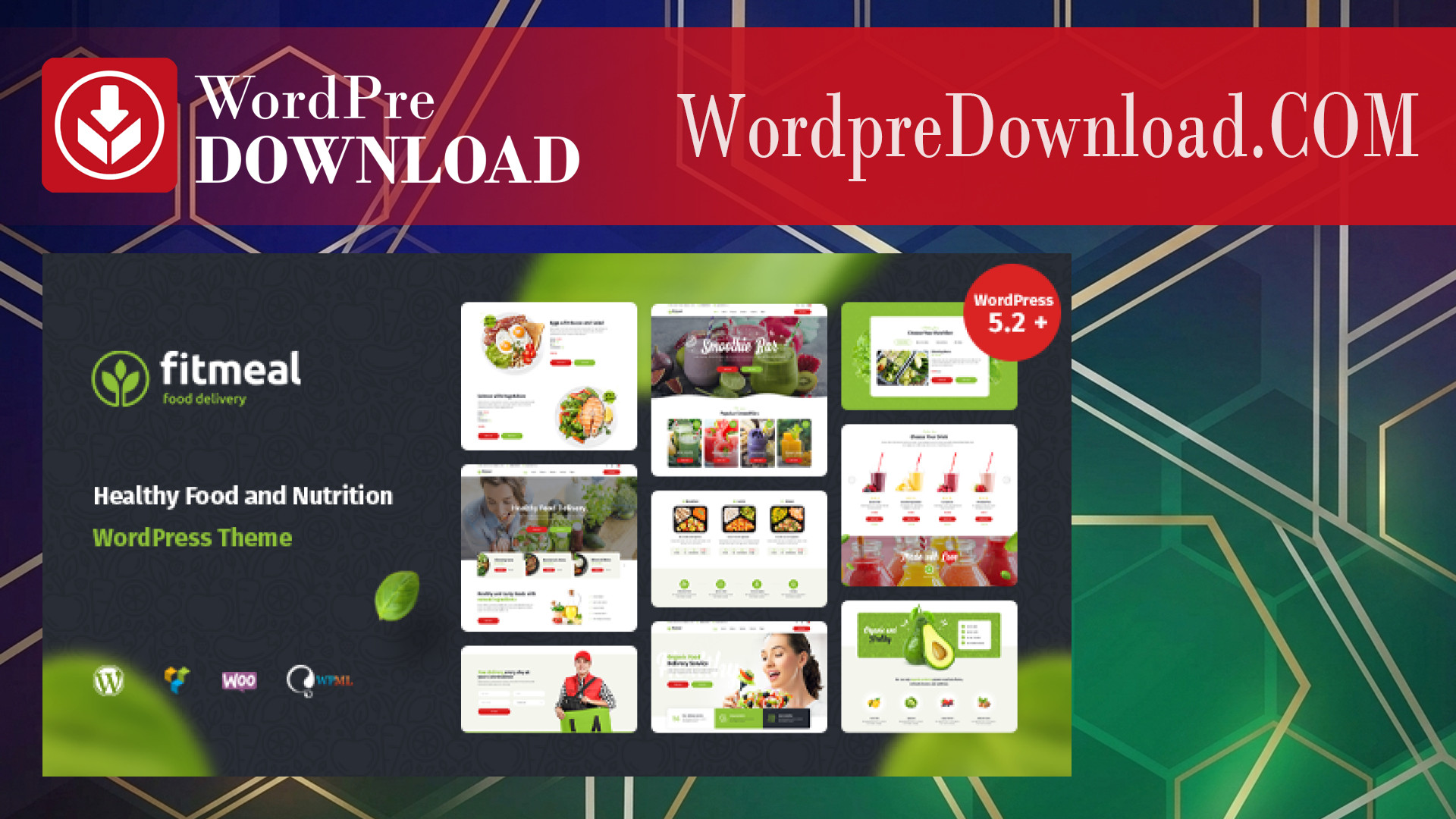 Fitmeal - Healthy Food Delivery And Diet Nutrition WordPress Theme - WordpreDownload.COM