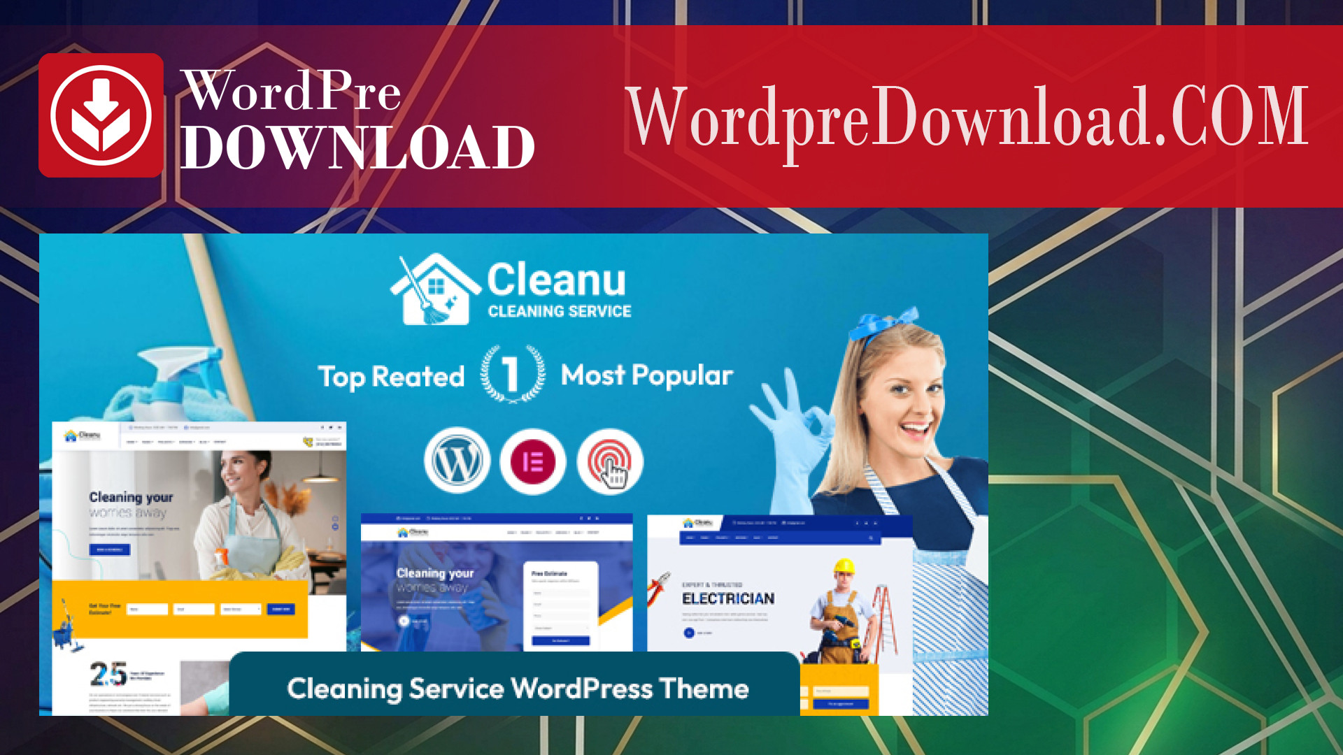 Cleanu - Cleaning Services WordPress Theme - WordpreDownload.COM