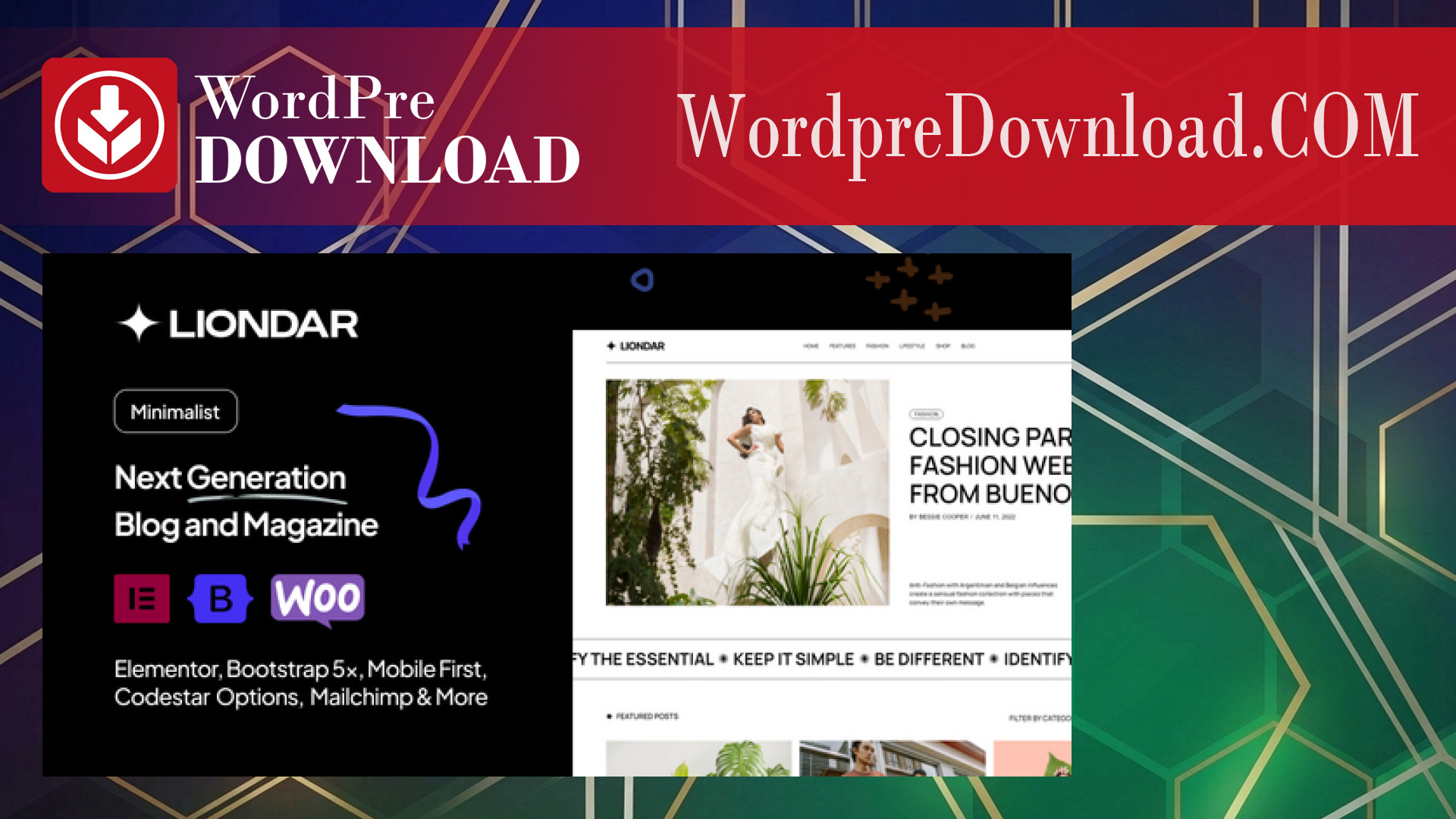 Liondar – Modern Magazine Theme - WordpreDownload.COM
