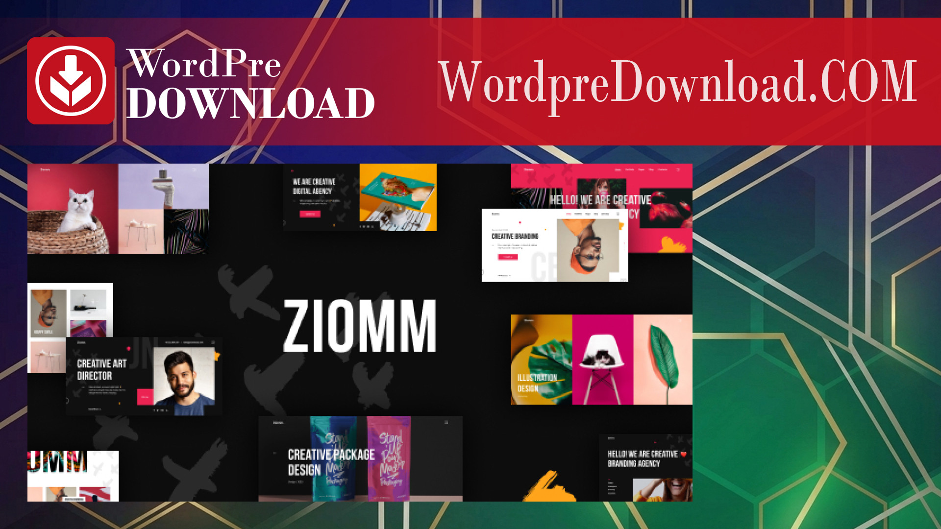 Ziomm – Creative Agency And Portfolio Theme - WordpreDownload.COM